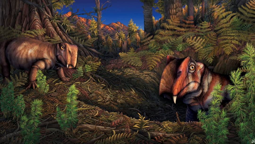 古生代二叠纪古生代最后的时光