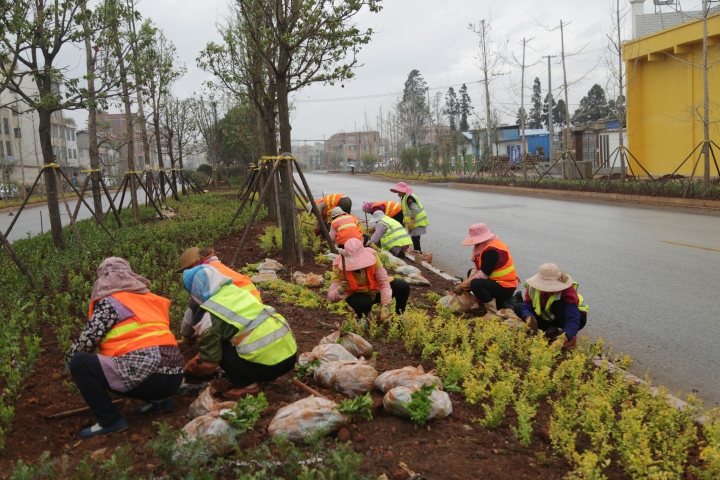 曲靖水石路：打造连通麒麟南北向的最美景观大道