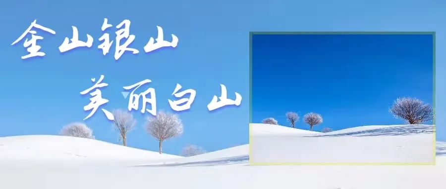 端午节内容资料大全（端午节内容资料大全300字）-第12张图片-巴山号