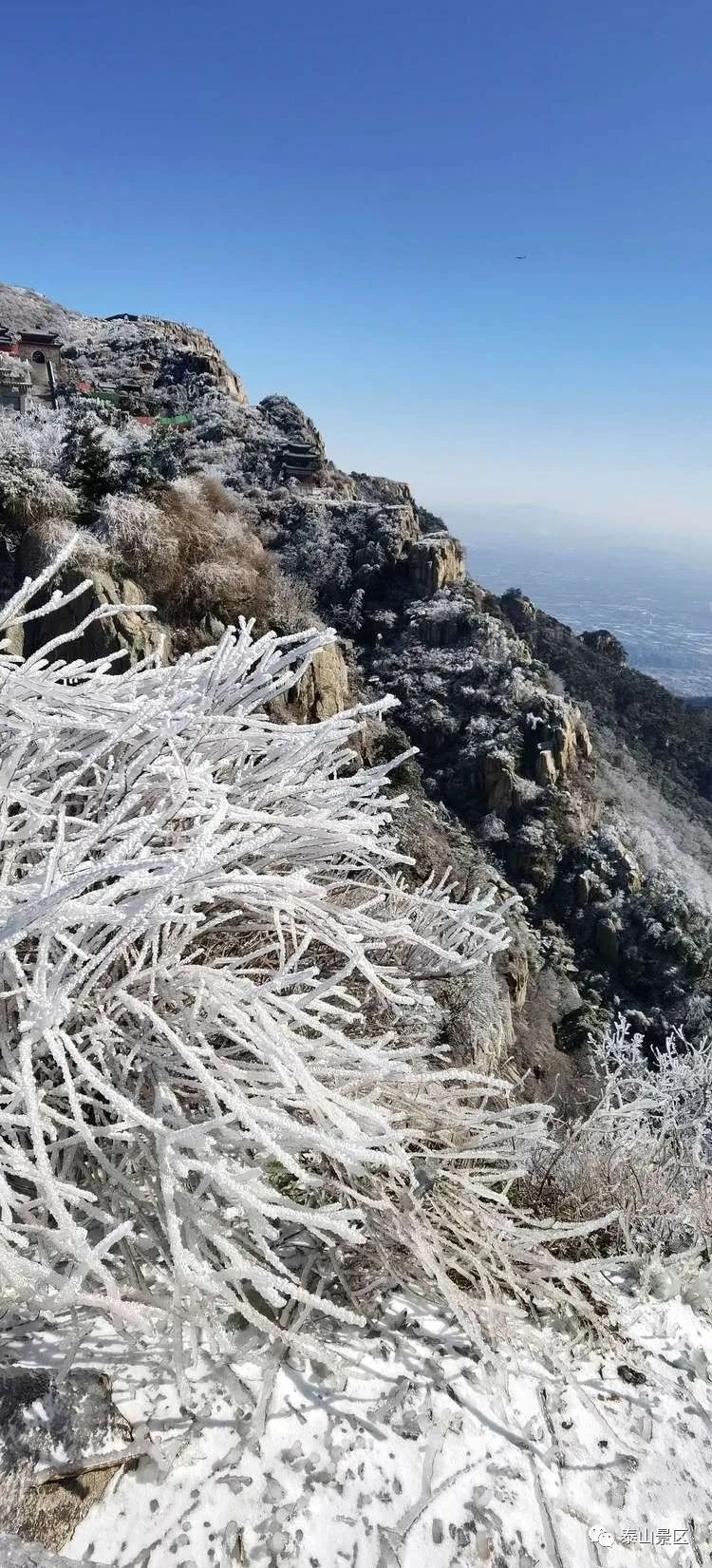 【今日小雪】忆岱顶初雪