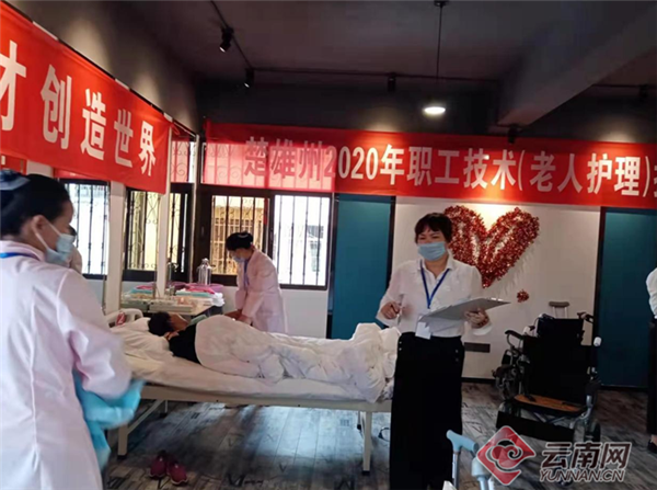 女工委员会,女工委员会组成及分工