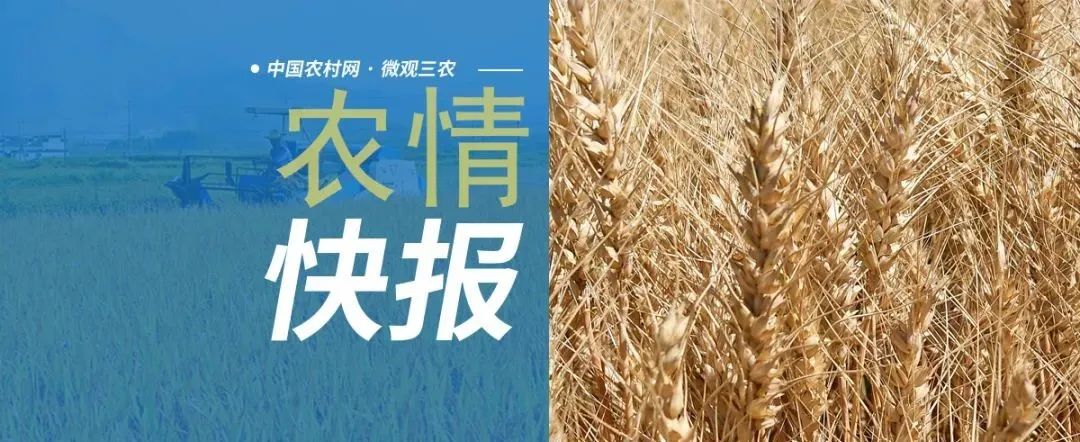 农情快报〔2021.11.24〕安徽取消21家企业的46个产品农机购置补贴资格