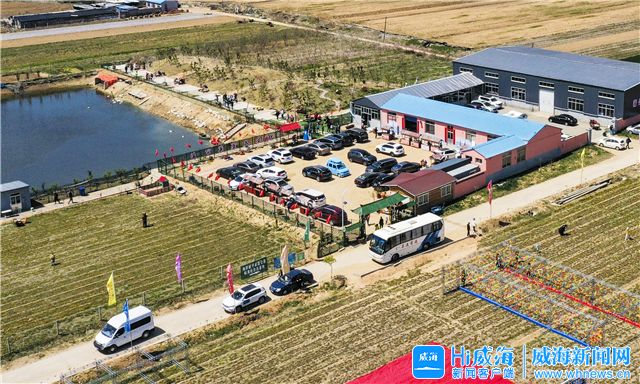 全面发力，为实现“三个走在前”贡献威海力量