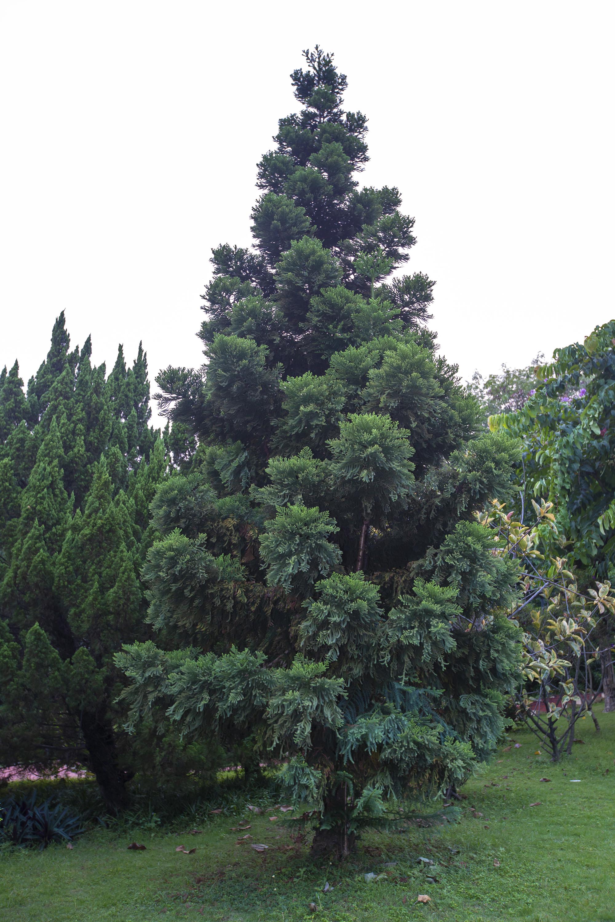 在广州看世界杯的去处(广州这些精美的国际友城礼物，其实就在身边)