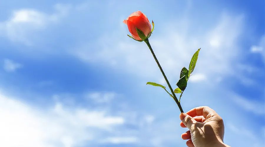 夜读丨感恩节:常怀感恩之心,人生好运相伴