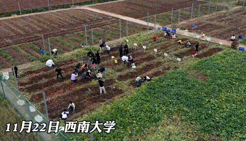 所有闺蜜都结婚了（闺蜜结婚我见到她的舅舅就一发不可收拾）