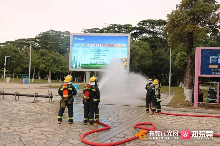 即日起，东莞严查狠抓这些行为！
