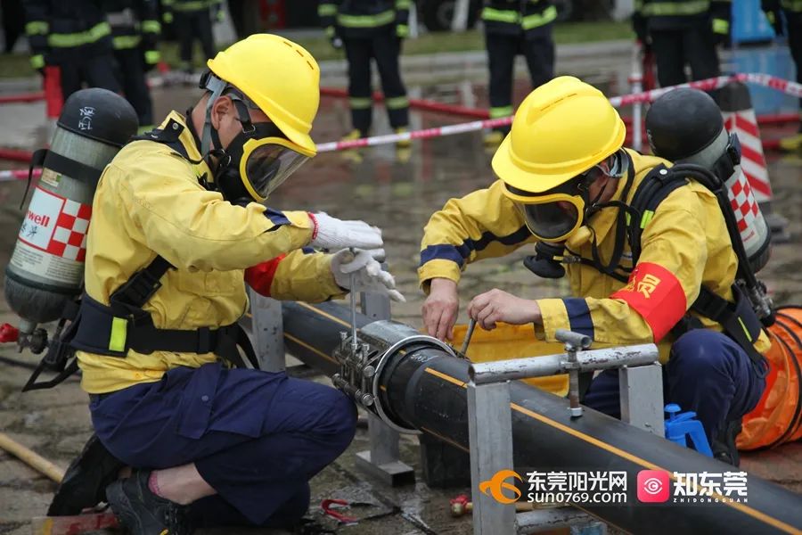 即日起，东莞严查狠抓这些行为！