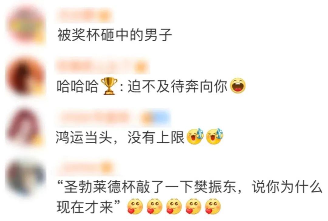 世界杯摸头是什么意思(哈哈哈！原来你是被奖杯砸中的男子)