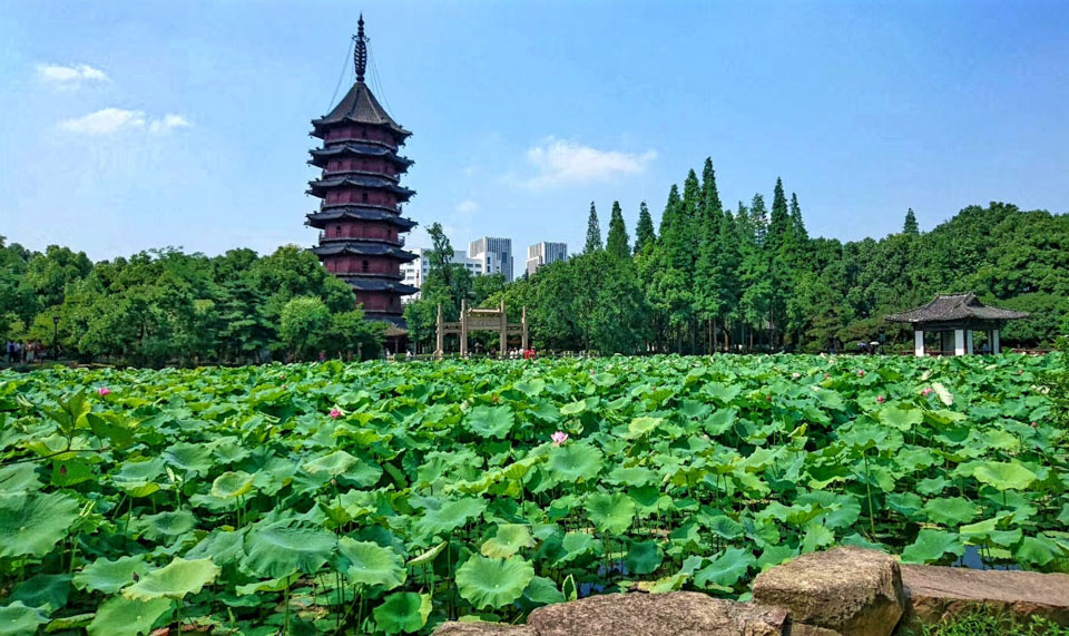 从湖州到上海：生丝首邑的辛亥往事