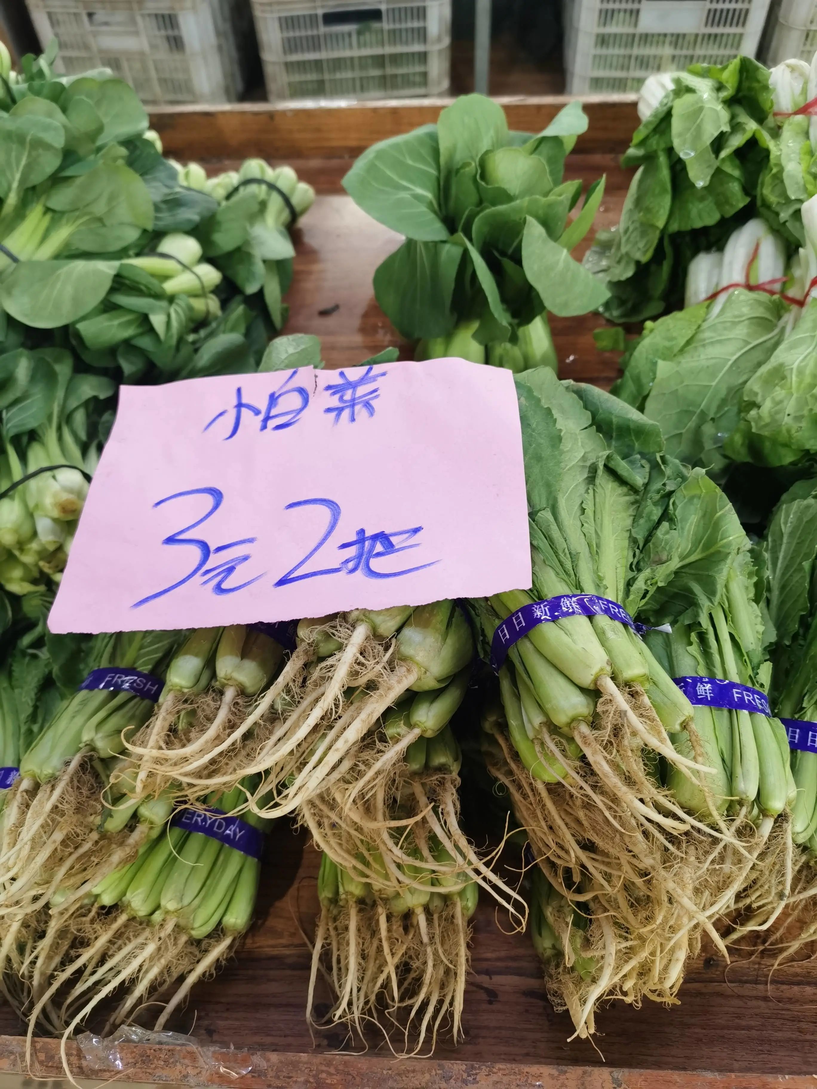 今日承德蔬菜价格「新发地今日蔬菜价格」
