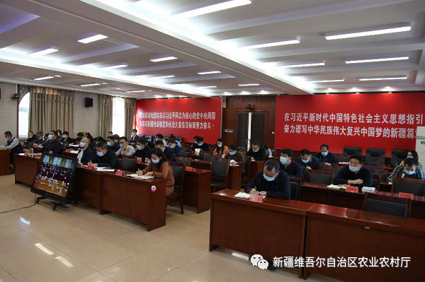 【宣传周集锦】