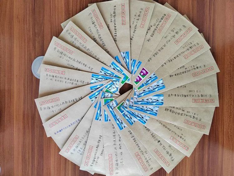 情系新疆，携手成长—东营区文苑学校少工委开展学习十九届六中全会精神主题队课