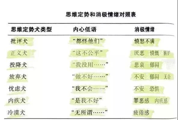 撒贝宁是谁（撒贝宁谁是大侦探）-第10张图片-华展网