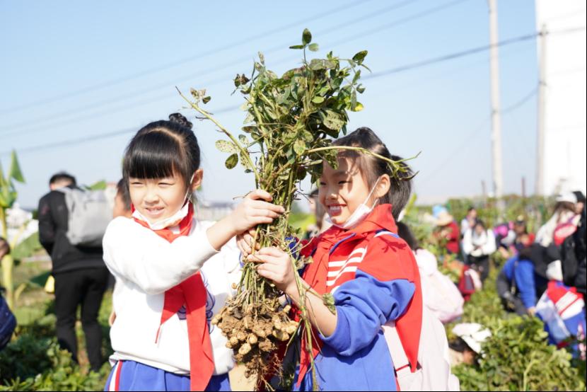 南宁百花岭路小学：学生学习田间知识(图3)