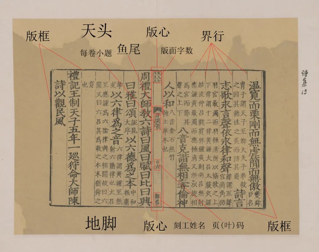 蝴蝶装的优点和缺点有(最全蝴蝶装订方法图解)