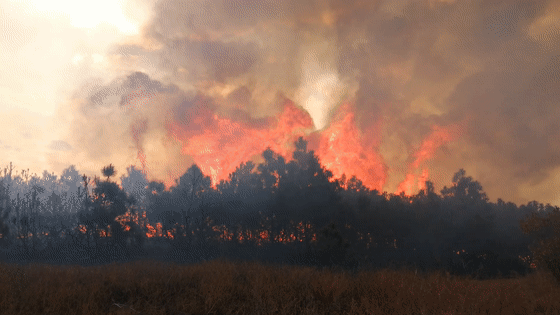 十堰一地最新通告！违反者，罚款、拘留、移送司法！