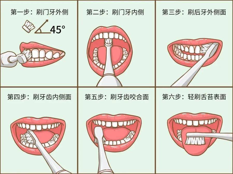人应该有几颗牙齿(杭州美莱口腔健康科普：父母嘴里还剩几颗健康牙齿，你清楚吗？)
