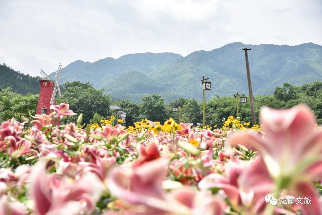 乘高铁•游龙南游•美丽乡村