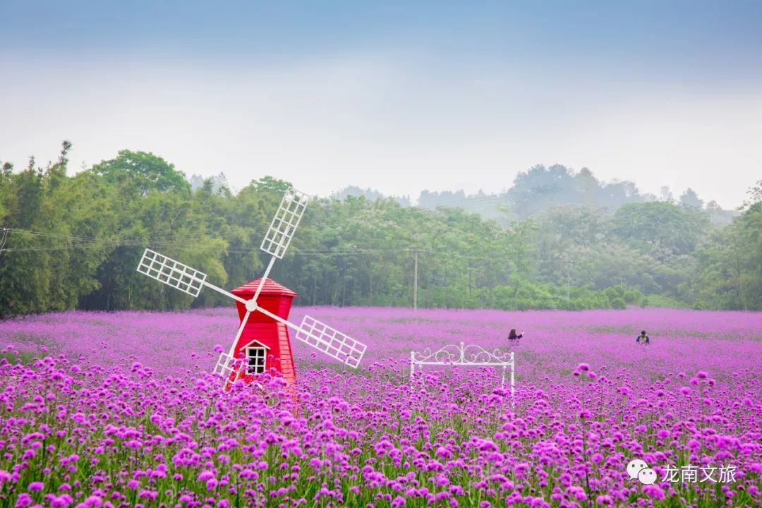 乘高铁•游龙南游•美丽乡村