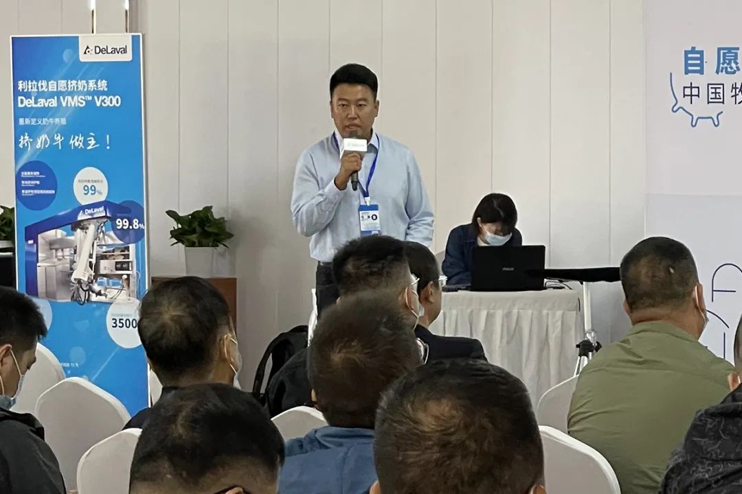 330萬頭用機器人擠奶的奶牛，每天過的滋潤么？養(yǎng)牛人呢？