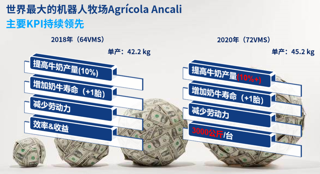 330万头用机器人挤奶的奶牛，每天过的滋润么？养牛人呢？