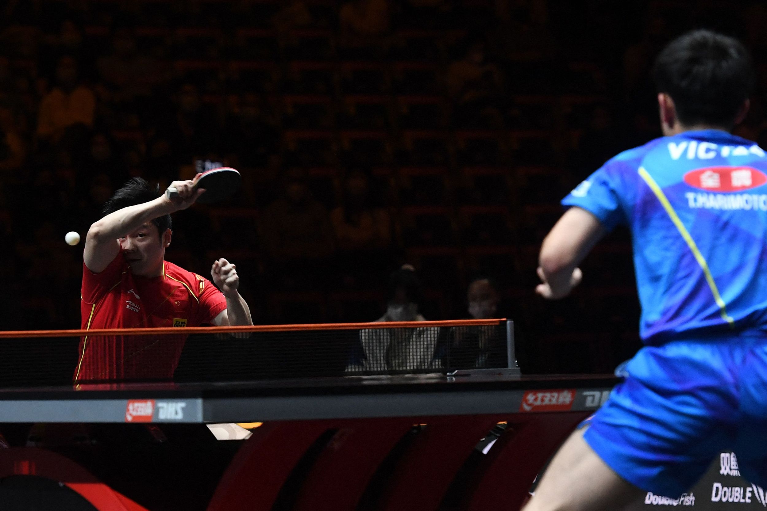 wtt世界杯每届男单冠军（樊振东战胜张本智和，夺得WTT世界杯决赛男单冠军）