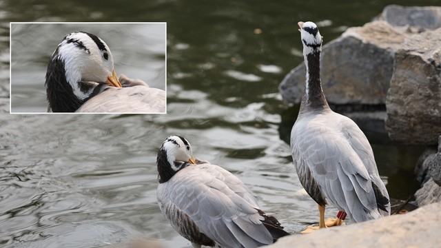 视频博主如何搭建专业拍摄系统？