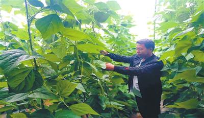 抓住致富“牛鼻子”让村民过上好日子