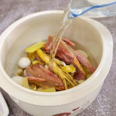 鴿子湯的功效,鴿子湯的功效與作用