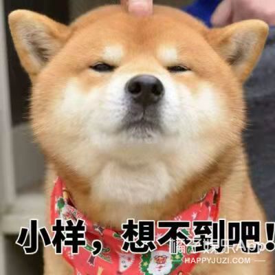 杀破狼三免费播放完整版(还记得《陈情令》中的晓星尘吗？他为什么查无此人了？)