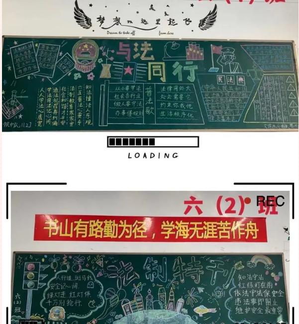 合肥市和平小学第四小学开展宪法宣传周活动(图4)