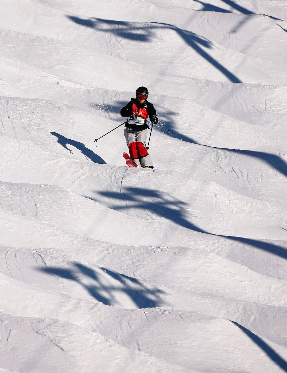 自由式滑雪世界杯几年举办一次(看不懂“自由式滑雪”怎么办？请收下这份“扫盲”指南)