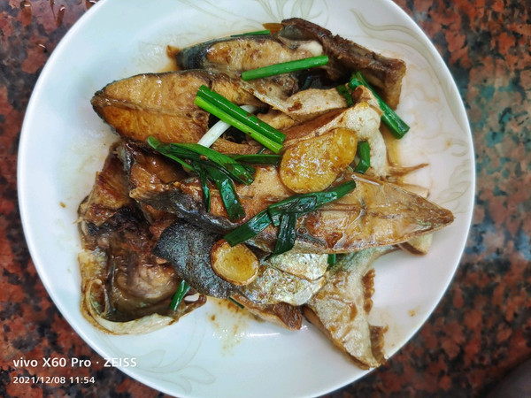 鮪魚,鮪魚是什么魚