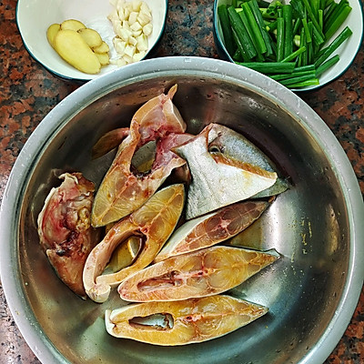 鮪魚,鮪魚是什么魚