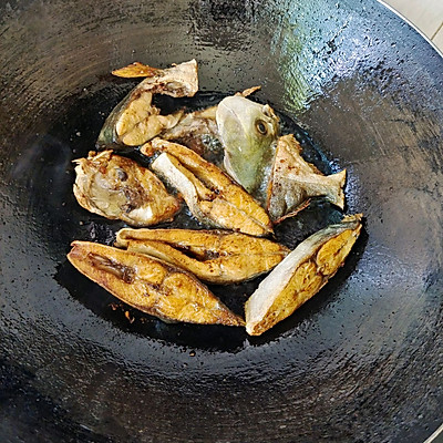 鮪魚,鮪魚是什么魚