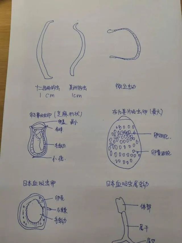 颍上美女学霸，在复旦大学火了！谁看谁服气！