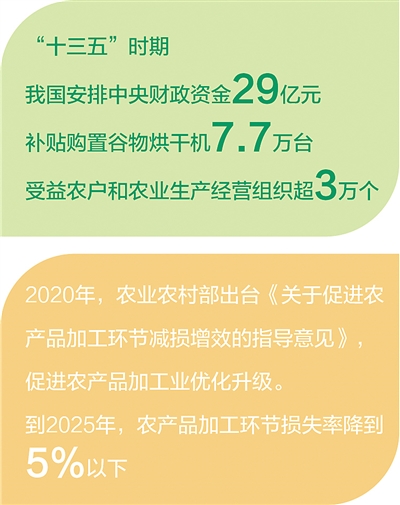 一粒粮食的“产业链之旅”