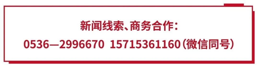 潍坊车管所违章查询,潍坊车管所违章查询网