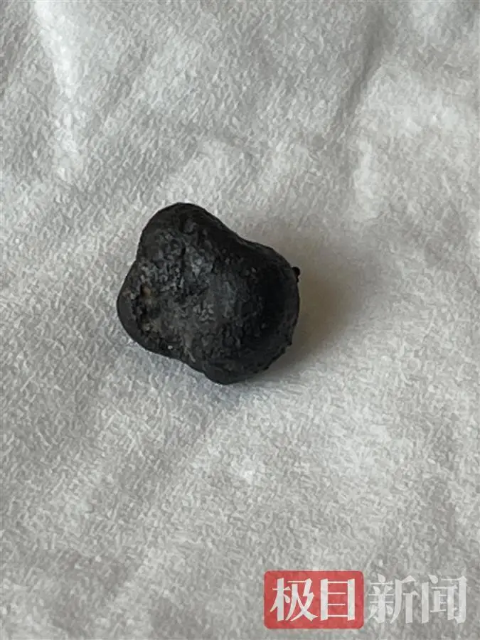 上千人河南泌阳寻陨石，专家：有人找到一颗，仅黄豆大小