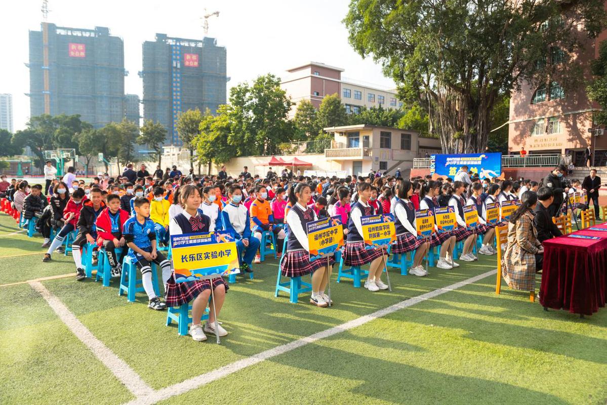 橄榄球高中初中学校有哪些(福州首次举办中小学生橄榄球锦标赛)