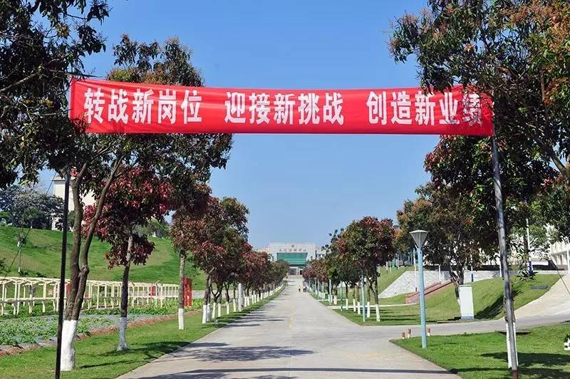 �۲�����һ�ܾ������콵�������ˣ�ӡ���ĸĸ�����߲�����