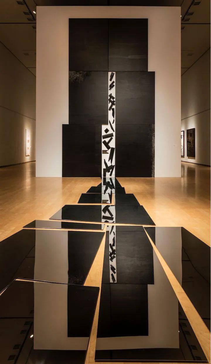 王怀庆 | 黑与白的交织