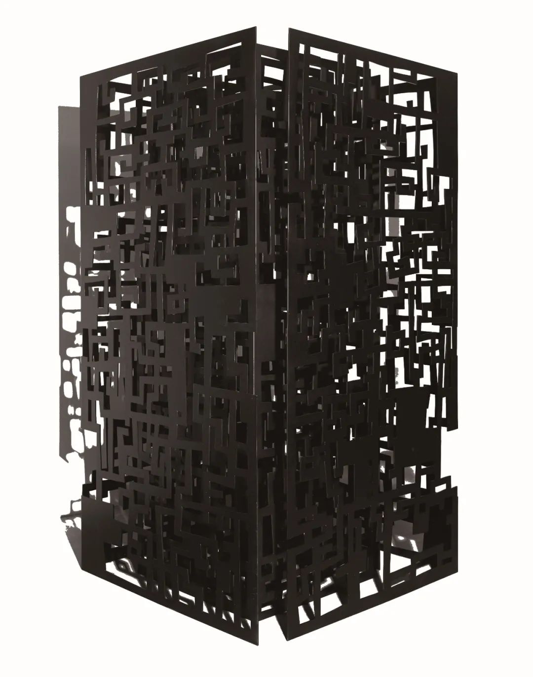 王怀庆 | 黑与白的交织