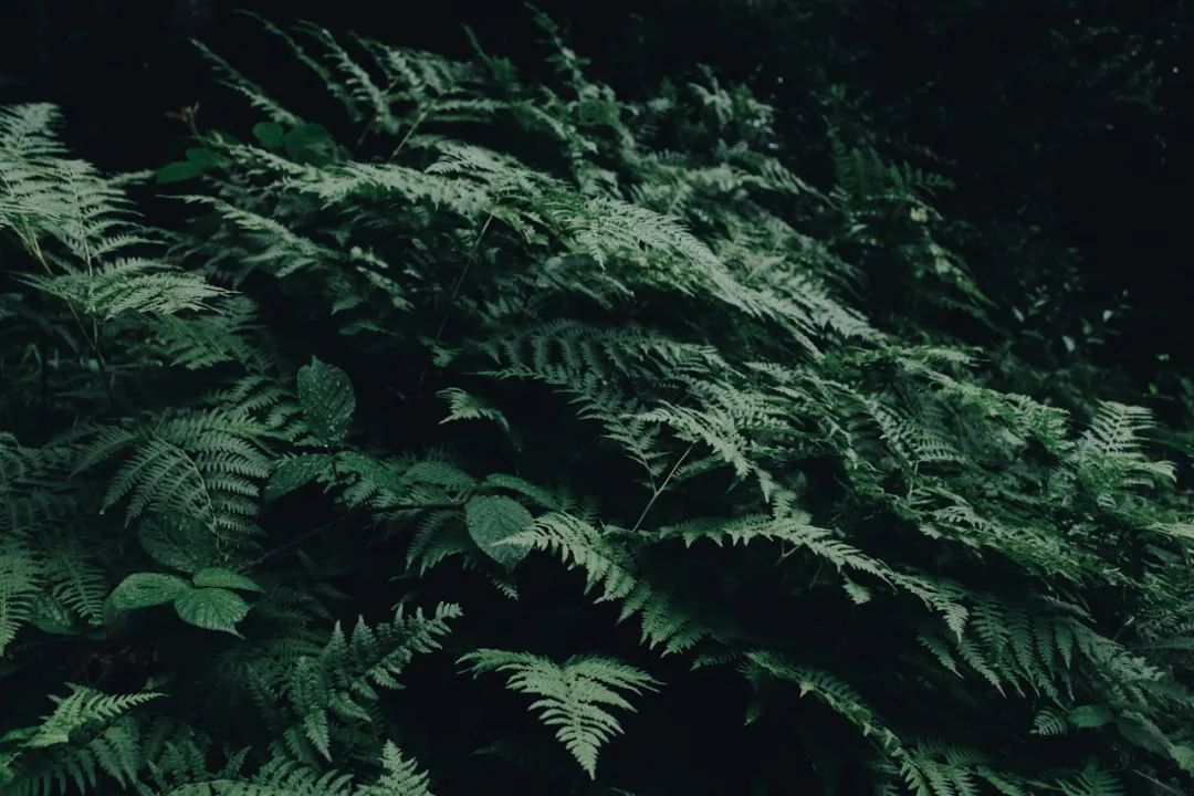 夜讀| 知分寸，是最基本的教養