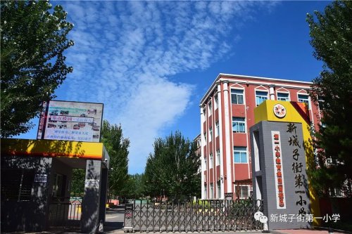 沈北新区新城子街第一小学落实“双减”(图1)