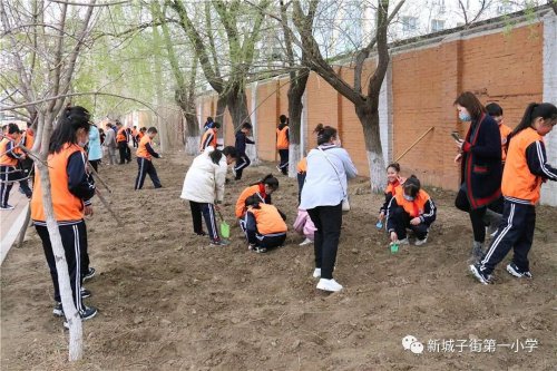 沈北新区新城子街第一小学落实“双减”(图23)