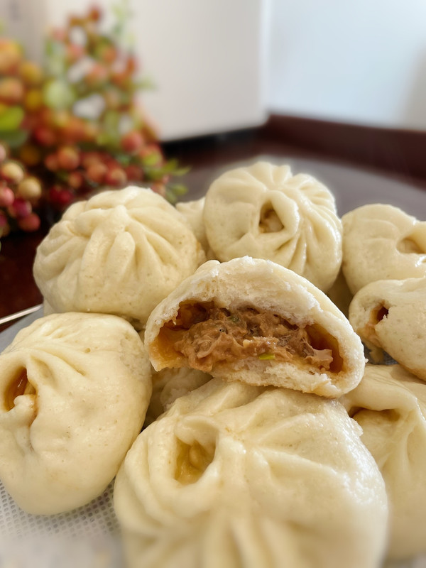 怎么做肉包（手工鲜肉包汁多的暄软大肉包）