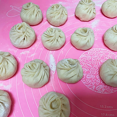 怎么做肉包（手工鲜肉包汁多的暄软大肉包）