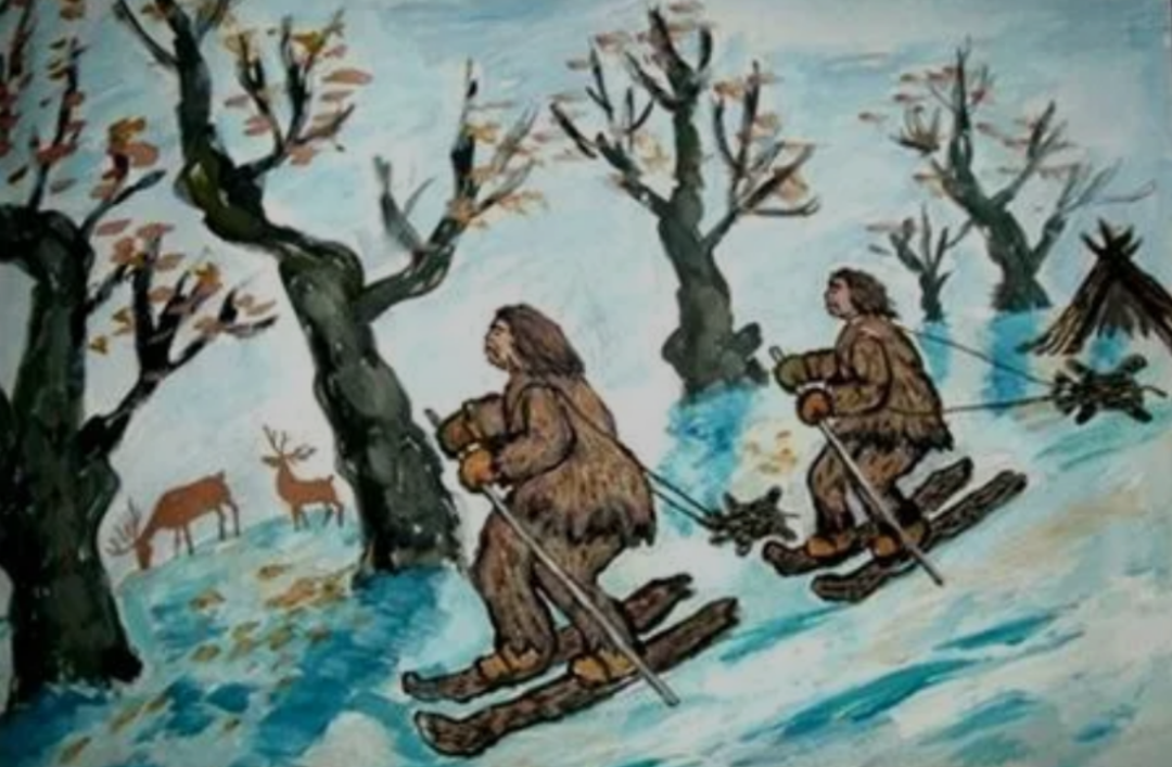 奥运会主要包括哪些（冬奥百天倒计时46天冬奥会历史知识-冬奥会的发展）